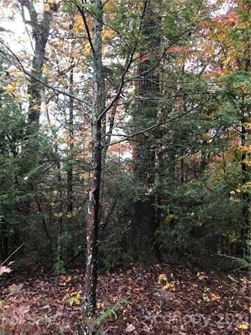 Lot 13 Echo Ln S unit 13, Old Fort, NC 28762 - photo 5