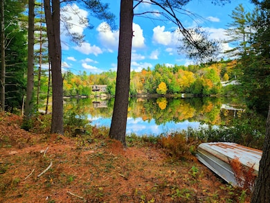 13331 Henry Rd, Diana Center, NY 13648 - photo 5