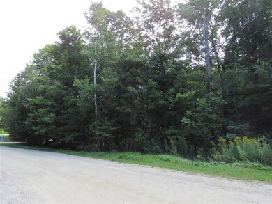 C20R High Meadow Rd unit C20R, Winhall, VT 05340 - photo 3