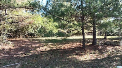 701 County Road 31, Hanceville, AL 35077 - photo 5