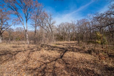 4 Lanes Ln, Pottsboro, TX 75076 - photo 5