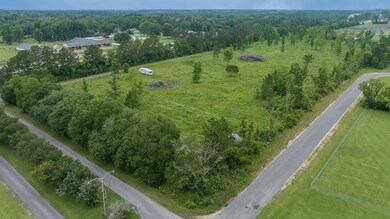 IMG_7192