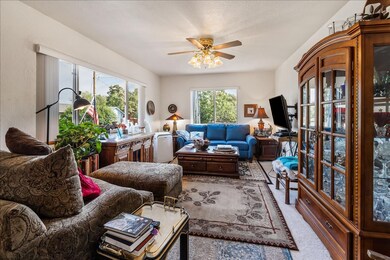Living Room with Lots of Light