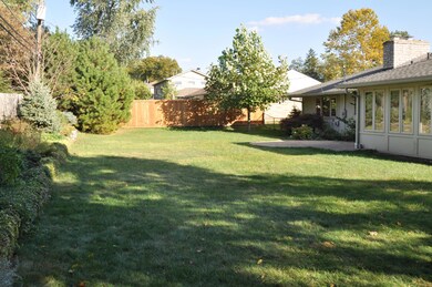 View of Backyard