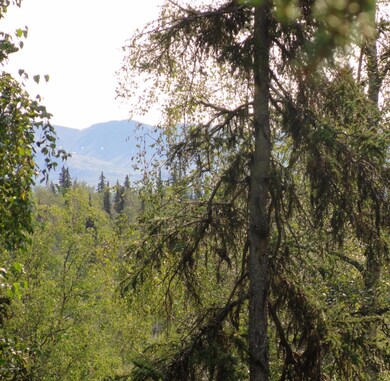 More mountain views