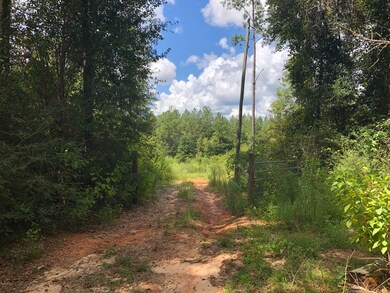 0 Stonecypher Rd, Lucedale, MS 39452 - photo 3