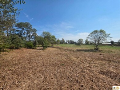 2485 Palestine Rd, Campbellsville, KY 42718 - photo 7