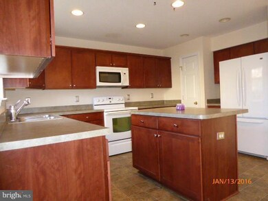 311 Pendleton Ln, Strasburg, VA 22657 - photo 6