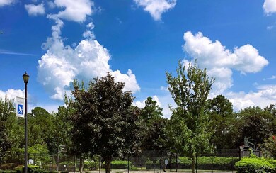 329 SW Silver Palm Dr, Lake City, FL 32024 - photo 2