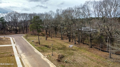 107 Brents Crossing, Clinton, MS 39056 - photo 2