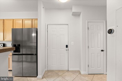 22655 Blue Elder Terrace unit 304, Ashburn, VA 20148 - photo 5