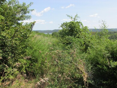 Lot Blue View Ln, Ruth B Rural Township, MO 65686 - photo 7