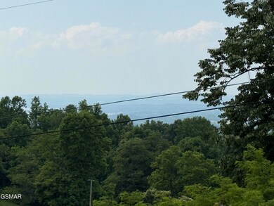 771 Alpine Dr, Sevierville, TN 37876 - photo 2