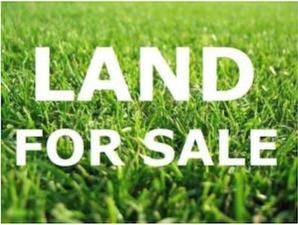 302 N Clinton Ave, Elmhurst, IL 60126 - photo 2