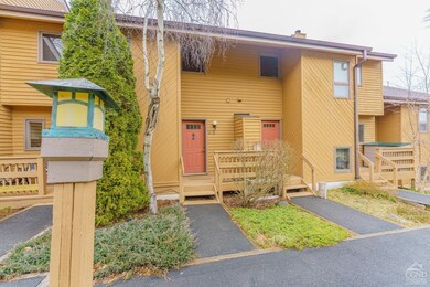 158 Hunter Dr unit U3, Hunter, NY 12442 - photo 3