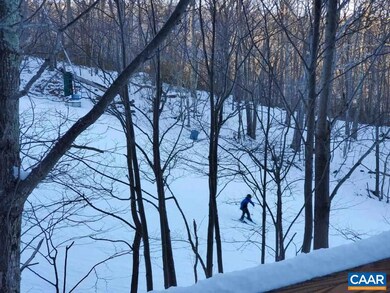 120 Squirrel Tree Ln, Roseland, VA 22967 - photo 5