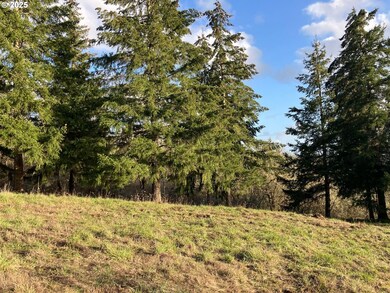 0 NE Center St unit 2 430429617, Sheridan, OR 97378 - photo 5