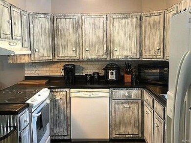 1101 W Ogara St, Harrisburg, IL 62946 - photo 4