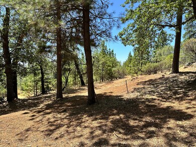 1870-Lot 406 E Summit View Dr, Meadow Vista, CA 95722 - photo 5