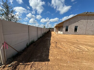 3207 High Rock Dr, Rosenberg, TX 77471 - photo 6