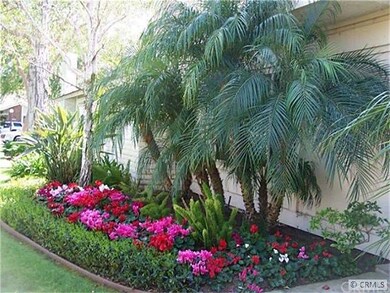Front Landscaping with Flowers and Palm