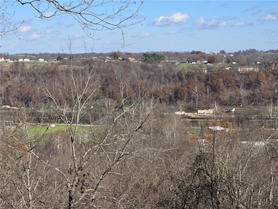 0 Echo Hill Rd, Malta, OH 43758 - photo 7