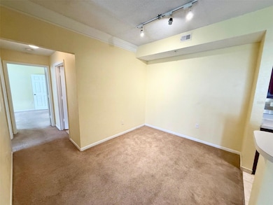 13102 Mulberry Park Dr unit 917, Orlando, FL 32821 - photo 6