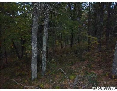 Lot 76 Deerpath Rd, Jackson, WI 54830 - photo 4