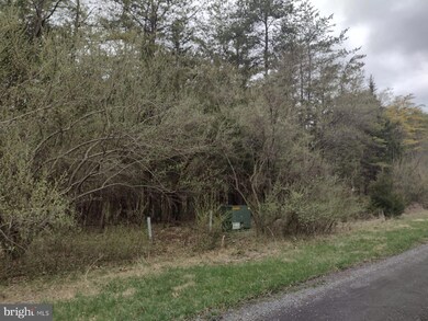 0 Queenship Lane Lot 5 unit VACL2000810, Berryville, VA 22611 - photo 6