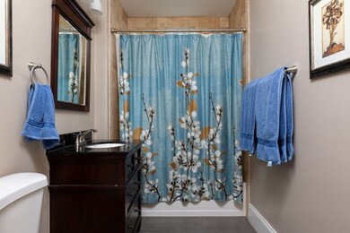 7 Clive St unit 1, Jamaica Plain, MA 02130 - photo 7