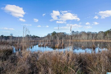 2002 Hebb Rd, Wilsonville, AL 35186 - photo 4