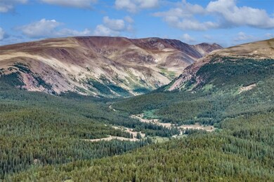 158 N Aspen St, Alma, CO 80420 - photo 5