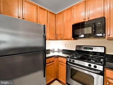 1505 N Point Dr unit 303, Reston, VA 20194 - photo 5