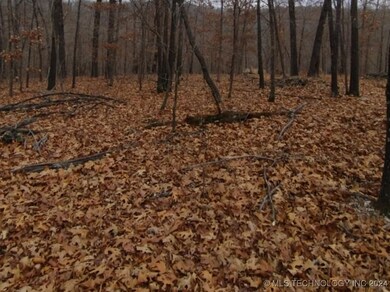 463977 Whitewater Ridge Rd, Proctor, OK 74457 - photo 4