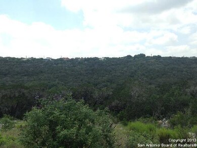 9866 Cash Mountain Rd, Helotes, TX 78023 - photo 6