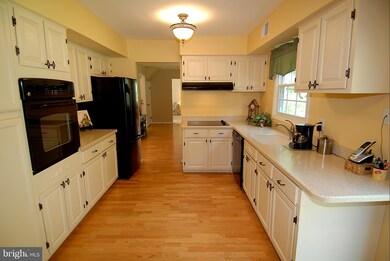 13010 Maple View Ln, Fairfax, VA 22033 - photo 3