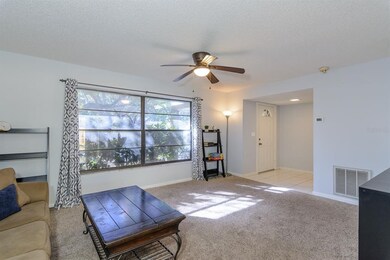 The living room features a large window to let in 