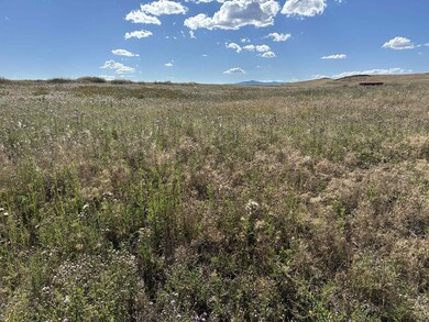 38103 Valley Hills Ln, Polson, MT 59860 - photo 3