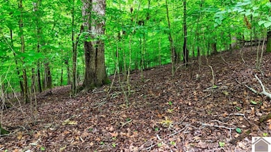 0 Overlook Dr unit Lots 42 & 39 Woodlan, Cadiz, KY 42211 - photo 6