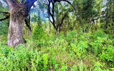 TBD NE Sage Rd, Mayo, FL 32066 - photo 2