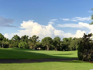 498 Chapman Loop unit Willbrook Plantation, Pawleys Island, SC 29585 - photo 6