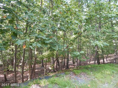 LOT 44 Boiling Springs, Gerrardstown, WV 25420 - photo 3