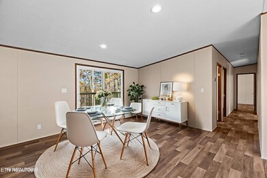 1053 Arrowhead Dr, Newport, TN 37821 - photo 4