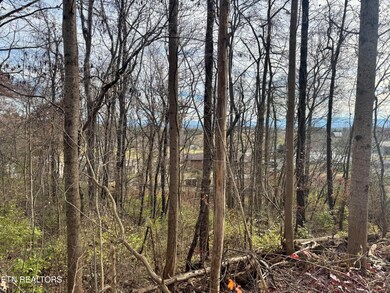 271 Sequoyah Dr, Morristown, TN 37813 - photo 4