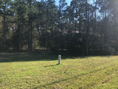 XXX Bob Link, Magnolia, TX 77484 - photo 5