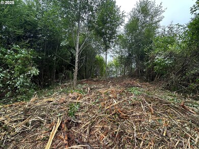 0 Bear Rd unit 653700348, Seaside, OR 97138 - photo 3