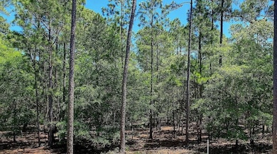 2955 Verrazano Ln SE, Lockwoods Folly, NC 28422 - photo 6