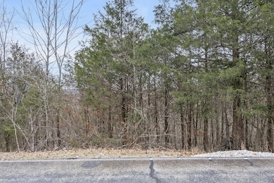Lot 9 Ledges Way (3)