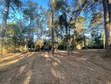 28024 Greenbriar Dr, Hockley, TX 77447 - photo 5