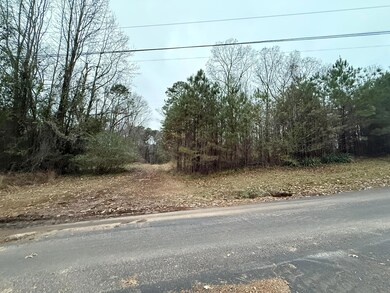 0 6th Ct NE, Vernon, AL 35592 - photo 4